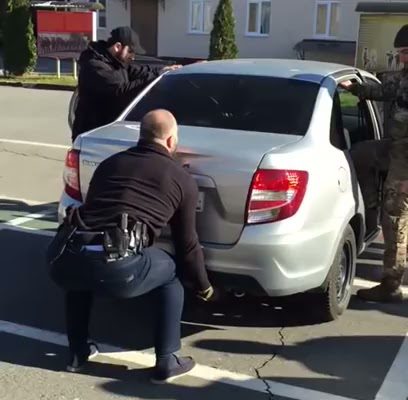 Знакомство с природными красотами Ингушетии: животные Авито ждут вас!
